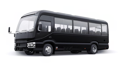 Luxury Wedding Coach Service (24-28 Seats)
